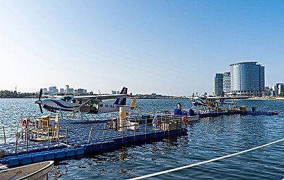 《立绘很奇怪姿势的恋爱冒险》免费版登陆Steam